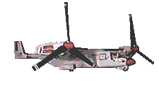 osprey1