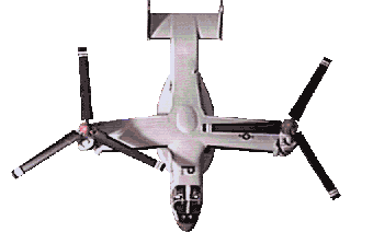 osprey2